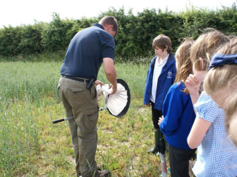 Calling all teachers! The NGO needs your&nbsp;help